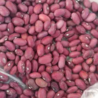 لوبیا قرمز درجه یک بوجاری شده
