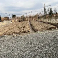 فروش زمین ۵۶۵ متری|فروش زمین و ملک کلنگی|اسلام‌شهر, کاشانک|دیوار