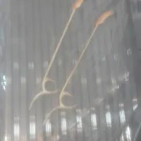 سنتور  و    داربوکا