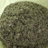 پونه خشک تمیزو بهداشتی|خوردنی و آشامیدنی|فیروزآباد (لرستان), |دیوار