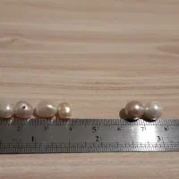 مروارید پرورشی