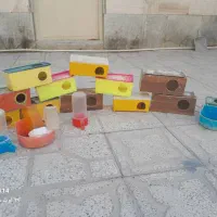 لانه و وسایل پرنده