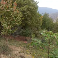 فروش-یک-قطعه-زمین-باغی-در-قورچای