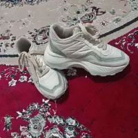 کفش سایز 39