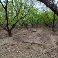 ۳۳۰ متری باغ ۴دیواری|فروش خانه و ویلا|شهریار, کرد امیر|دیوار