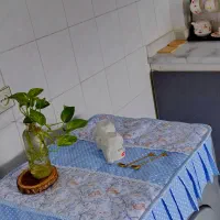 نمگیر دو منظوره