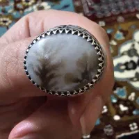 انگشتر شجر قائن