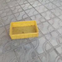 نیازمندکارگر باغ (بم)
