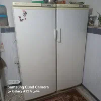 یک یخچال دو قلو سالم از همه بابت