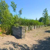 زمین-مسکونی-باجواز-و-سندتک-برگ-درشهربرندساحلی