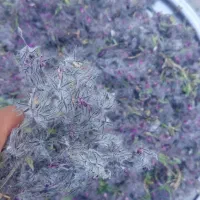 توهلوجه|خوردنی و آشامیدنی|هوراند, |دیوار
