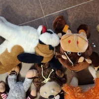 عروسک|اسباببازی|کرمان, |دیوار