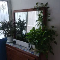 طرقبه خانه ویلایی حیاط دار بوستان گلستان طرقبه|اجارهٔ خانه و ویلا|مشهد, پارک کوهستان|دیوار