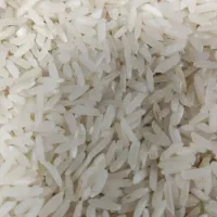 برنج ایرانی شیرودی درجه ۱ مازندران