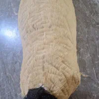 روغن محلی(بز)