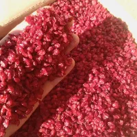 خرید و فروش زرشک