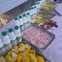 کربلا نجف هرهفته اعزام|تور و چارتر|مشهد, کارمندان دوم|دیوار