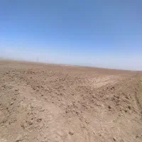 زمین-زراعی-دیم