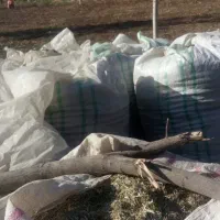 چغندر خوراک دام کاه یونجه جو گندم کنسانتره|لوازم جانبی حیوانات|تهران, فردوسی|دیوار