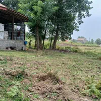 زمین باپروانه ساخت سنگررشت|فروش زمین و ملک کلنگی|سنگر, |دیوار