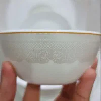 آرکوپال ۶نفره|ظروف سرو و پذیرایی|برازجان, |دیوار