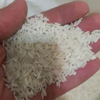 برنج فجر شمال|خوردنی و آشامیدنی|پاکدشت, شهرک انقلاب|دیوار