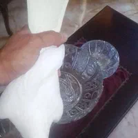 کبوتر پرش بالای ۷ساعت قد بلند|پرنده|تهران, اقدسیه|دیوار