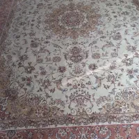 فرش ۱۲متری|فرش|قائن, |دیوار