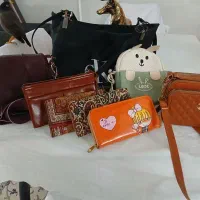 کیف شانی ودستی