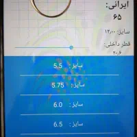 انگشتر حلقه نقره مردانه کلکسیونی و با قدمت ۴۰ سال|جواهرات|تهران, اقدسیه|دیوار