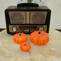 رادیو بلوتوث دار