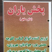 جذب ویزیتور