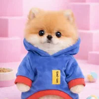 پشم.الو|سگ|بجنورد, |دیوار