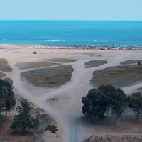 فروش زمین مسکونی ۲۵۰ متر ساحلی/سند تک برگ|فروش زمین و ملک کلنگی|کیاشهر, |دیوار