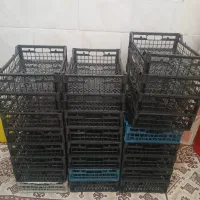 سبد میوه