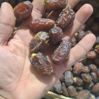 خرمای