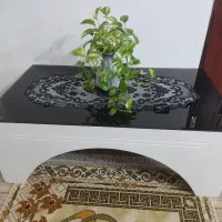 جلو مبلی ومیز عسلی