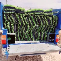 گلخانه رویش.تولیدکننده انواع نشا با کیفیت مناسب|خدمات باغبانی و درختکاری|هشتگرد, شهرک گلخانه|دیوار