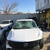 دیگینیتی تصادفی ۱۴۰۴