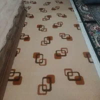 موکت|موکت|مبارکه, |دیوار