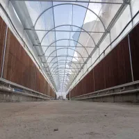 شرکت گلخانه سازان ژیانا آوین آژین زاگرس|خدمات باغبانی و درختکاری|سنندج, |دیوار