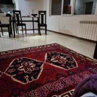 ۲ عدد فرش دستبافت زیبا و نو|فرش|کرج, شهرک بهارستان|دیوار