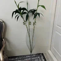 گل بامبو|گل مصنوعی|تهران, تهرانپارس شرقی|دیوار