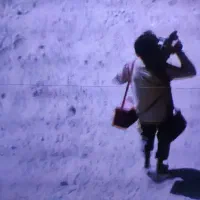 هایسنس ۵۵ اینچ|تلویزیون و پروژکتور|رشت, سعدی (تختی)|دیوار