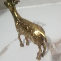 مجسمه گوزن برنجی|کلکسیون اشیاء عتیقه|شیروان (خراسان), |دیوار