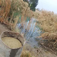 منزل سرویس کامل اماده