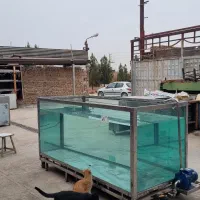 اکواریوم ماهی قزل آلا|ماهی|اسلام‌شهر, شهرک واوان|دیوار