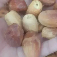 فروش فوری ۲تن زاهدی