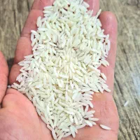 فروش برنج جمشید درجه یک