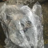 پمپ عقب روان|قطعات یدکی و لوازم جانبی|مشهد, شهید جنگی|دیوار